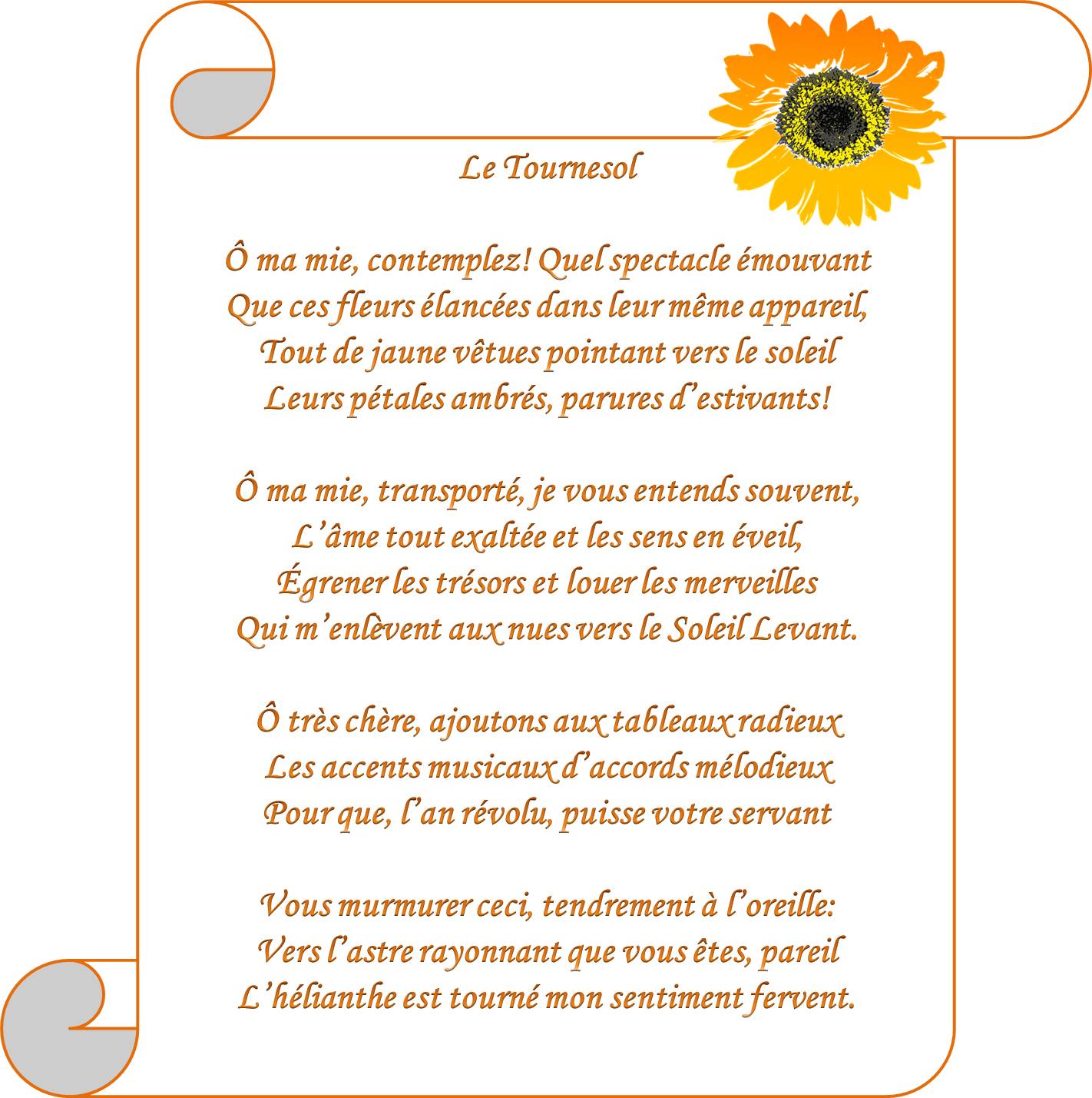 LE TOURNESOL