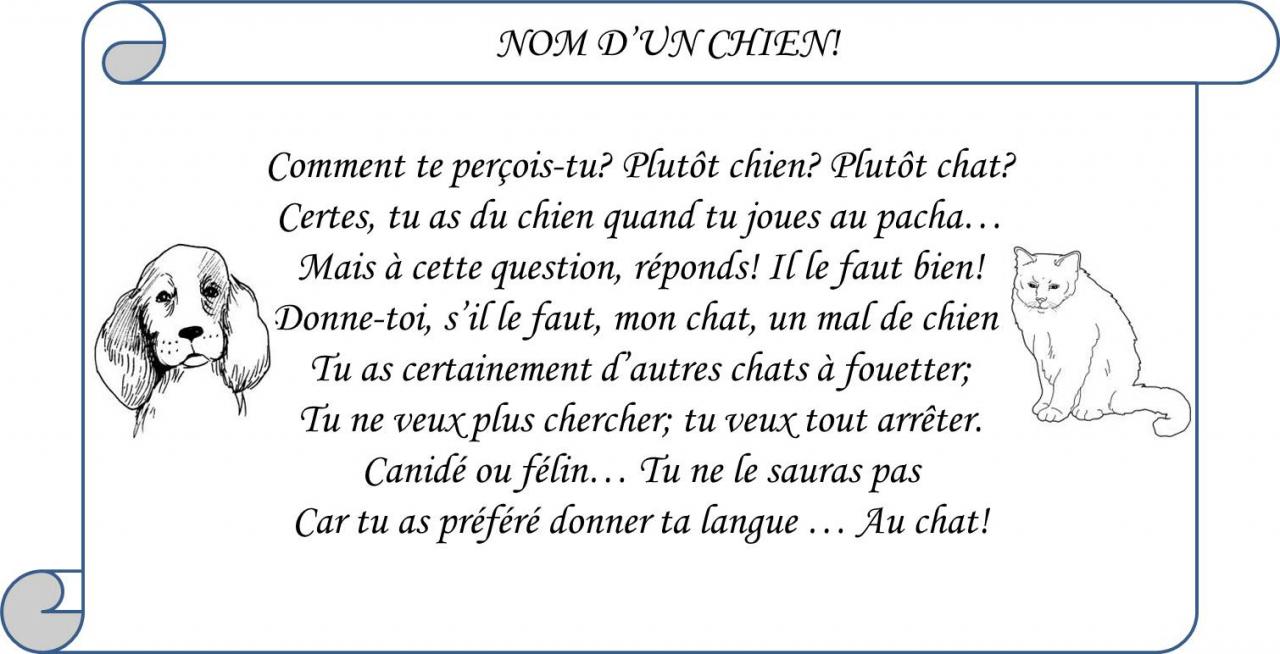 NOM D'UN CHIEN!